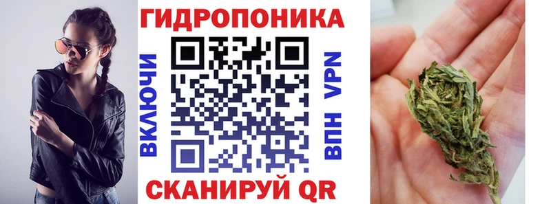 shop формула  блэк спрут рабочий сайт  Шишки марихуана Ganja  Лысково  купить наркотики сайты 